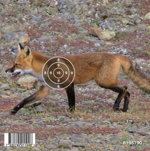 MÅLTAVLA LUFTGEVÄR RÄV 50-PACK